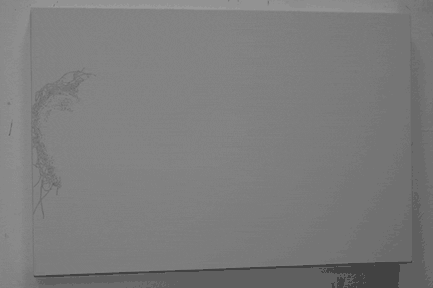 This image has an empty alt attribute; its file name is animation_72px.gif